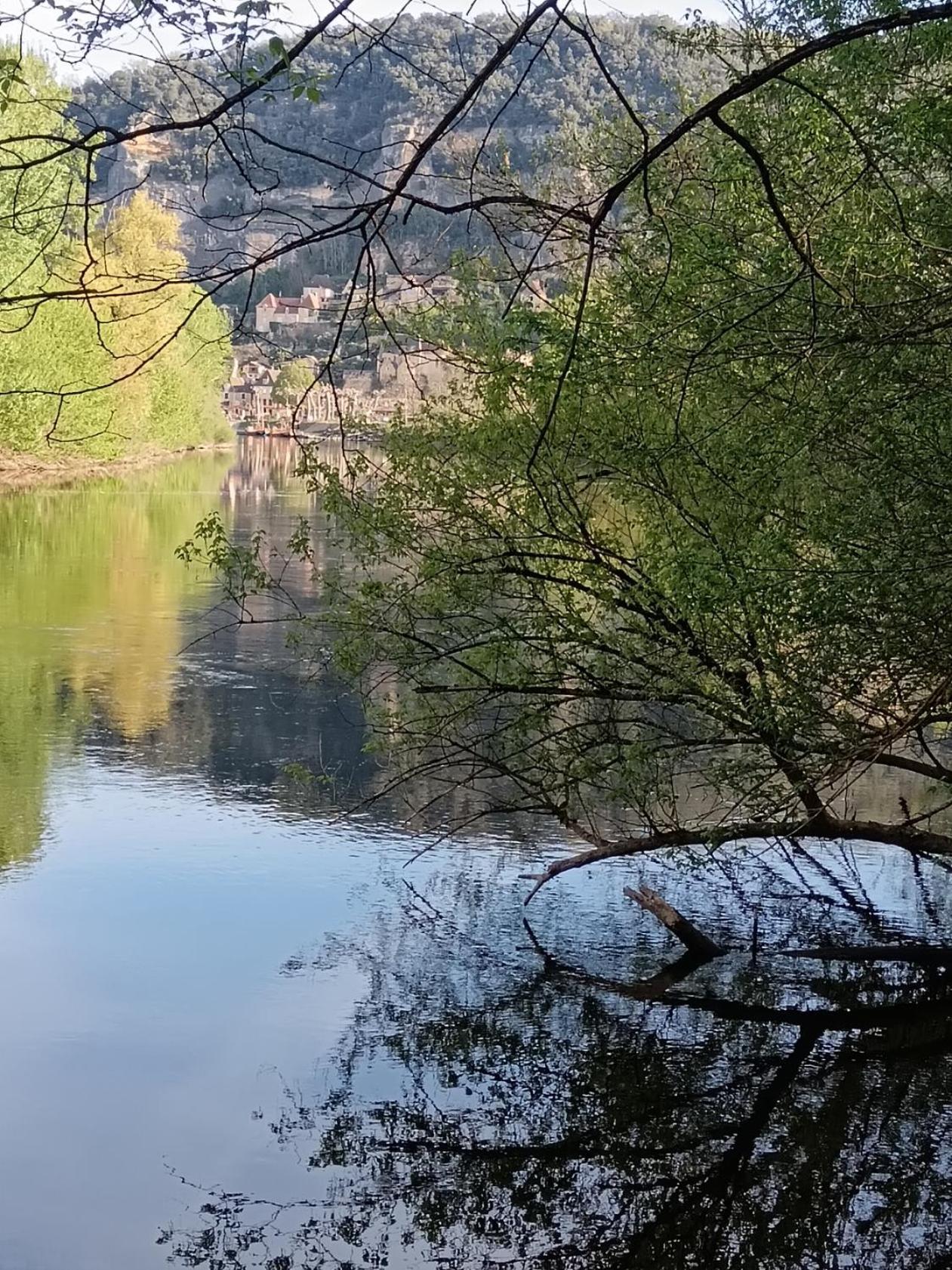 Gite Chez Pierrot - La Vallee Des Chateaux لا روك-غاجياك المظهر الخارجي الصورة